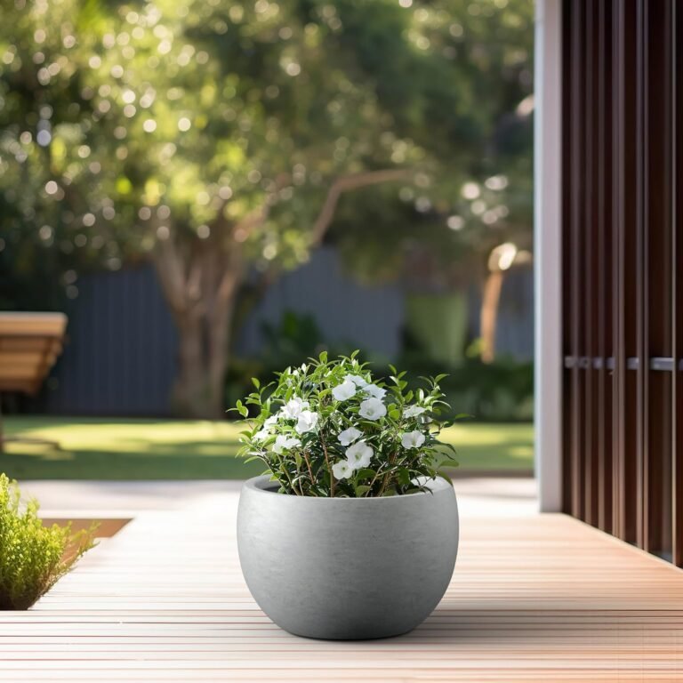Modern Concrete Planter Review